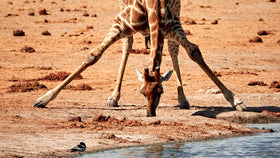 Namibia Bild 7