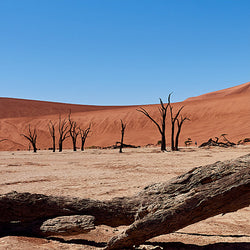 NAMIB WÜSTE1