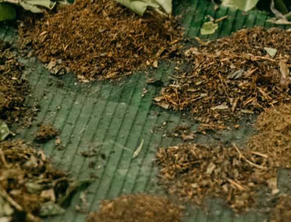 Frischer Salat mit leckeren Kräutern und Gewürzen.