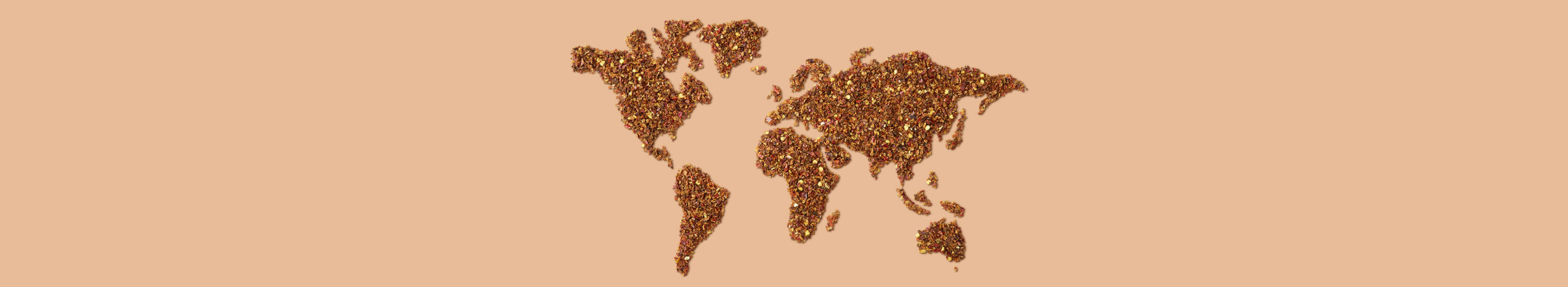 Afrikanische Gewürze: Kontinent der Gewürzmischungen