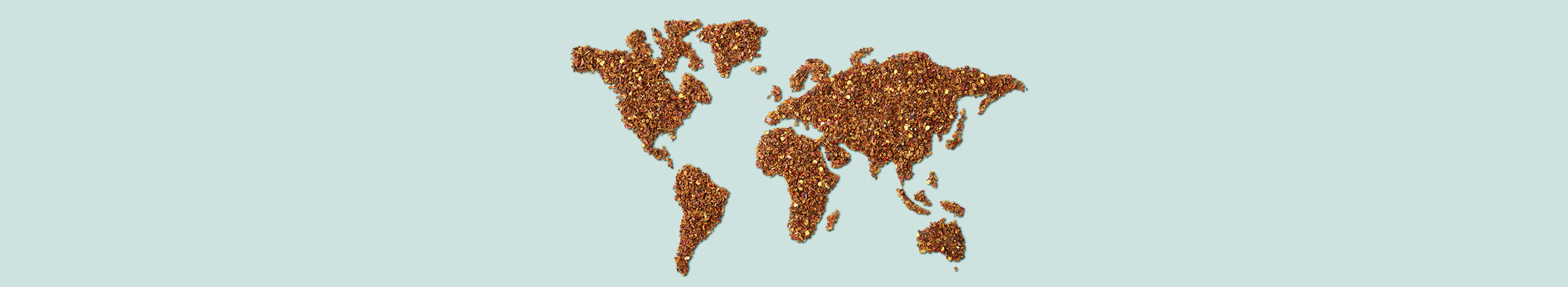 Asiatische Gewürze: ein Paradies der Aromen