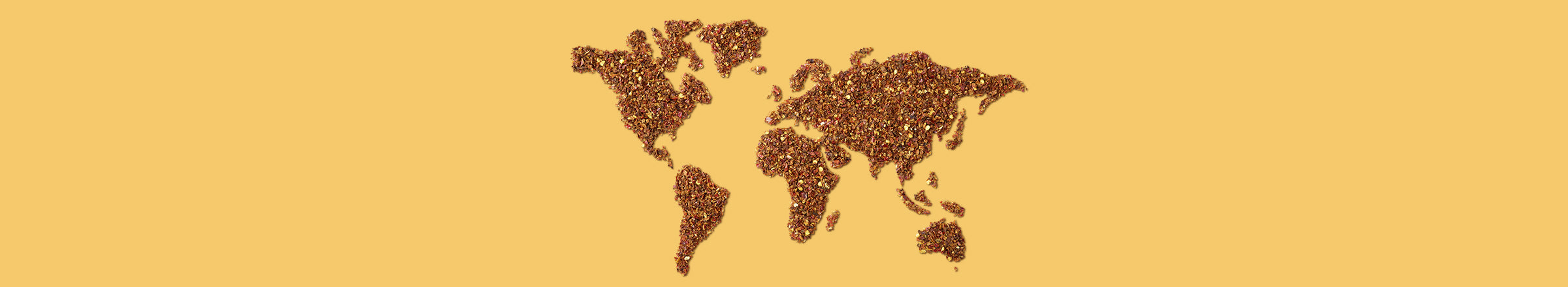 Indische Gewürze: Geschmacksvielfalt à la Bollywood