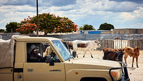 Namibia Bild 10