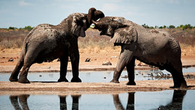 Namibia Bild 2